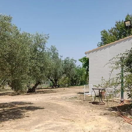 Olivo Lloron * Montilla