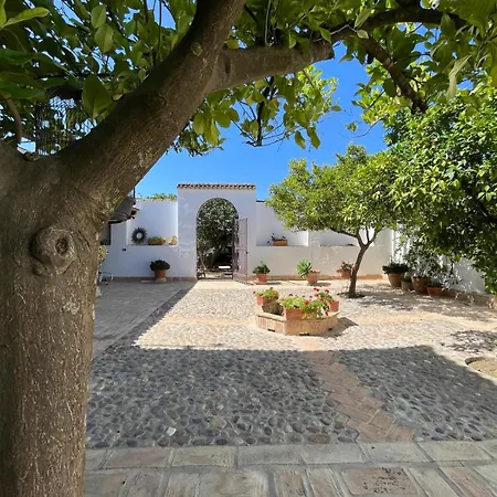 Olivo Lloron Villa Montilla