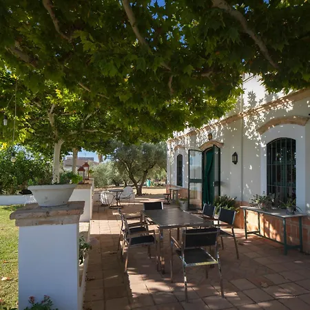 Villa Olivo Lloron